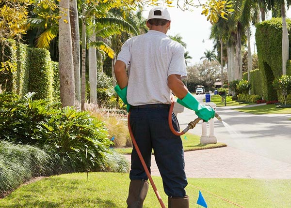 About East Walpole MA Pest Control Pros